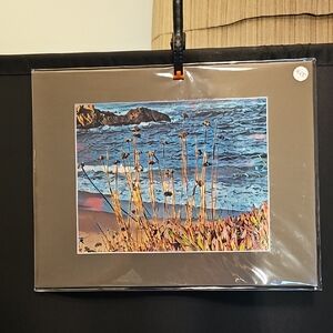 Coastal Reeds High Quality Photograph With Mat